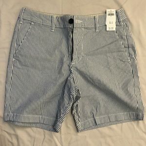 Hollister Blue/White Striped Chino Shorts